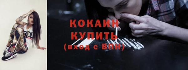 гашик Белоозёрский