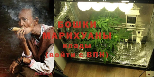 ГАЛЛЮЦИНОГЕННЫЕ ГРИБЫ Беломорск