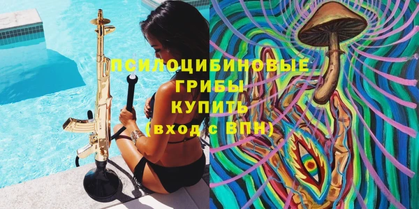 гашик Белоозёрский