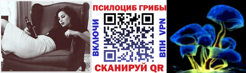 наркота  Красный Холм  Псилоцибиновые грибы MAGIC MUSHROOMS 